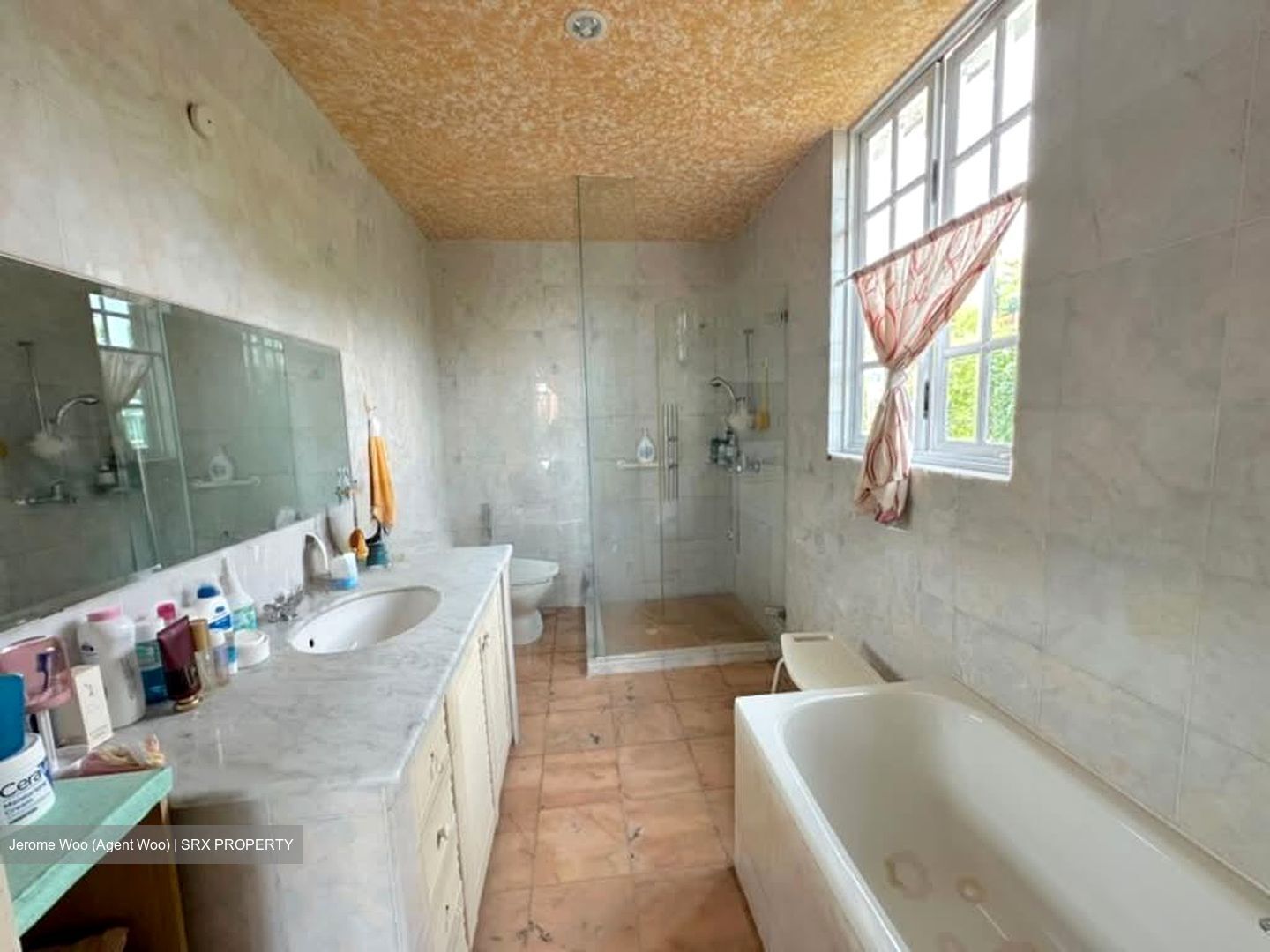 Seletar Hills Estate (D28), Semi-Detached #541186241